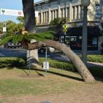 TourdSoCal_1_0001 (September 11, 2015)